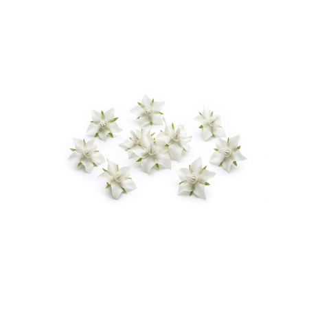 Beyaz Viola Çiçeği